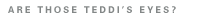 Teddi Jensen Design
